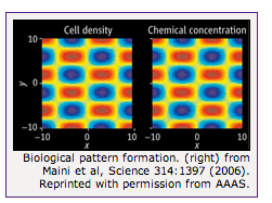 Illustration for article titled 11 Emerging Scientific Fields That Everyone Should Know About